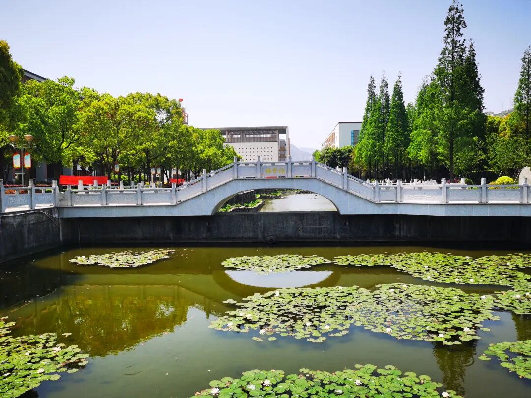 龙湾中学_龙湾中学vr_龙湾中学录取分数线2022