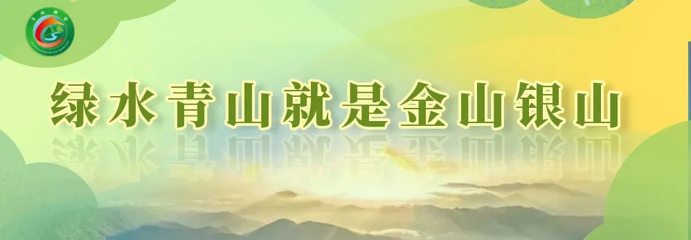 饥饿小蜂猴勇闯人类火锅店，麻栗坡再现国家一级保护动物蜂猴