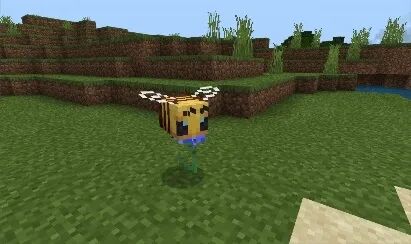 我的世界显示方块信息的模组_我的世界显示方块信息mod_显示方块信息的模组