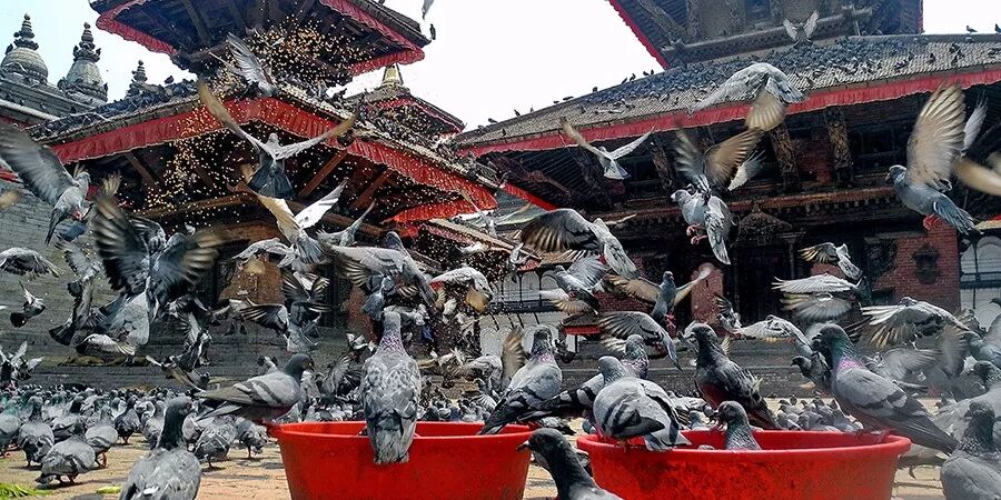 徒步旅行_一位旅行家在印度旅行_中国徒步圣经：中国徒步穿越（华南卷）