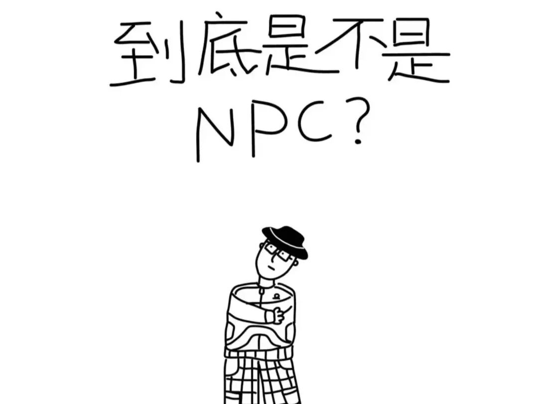 npc是什么意思