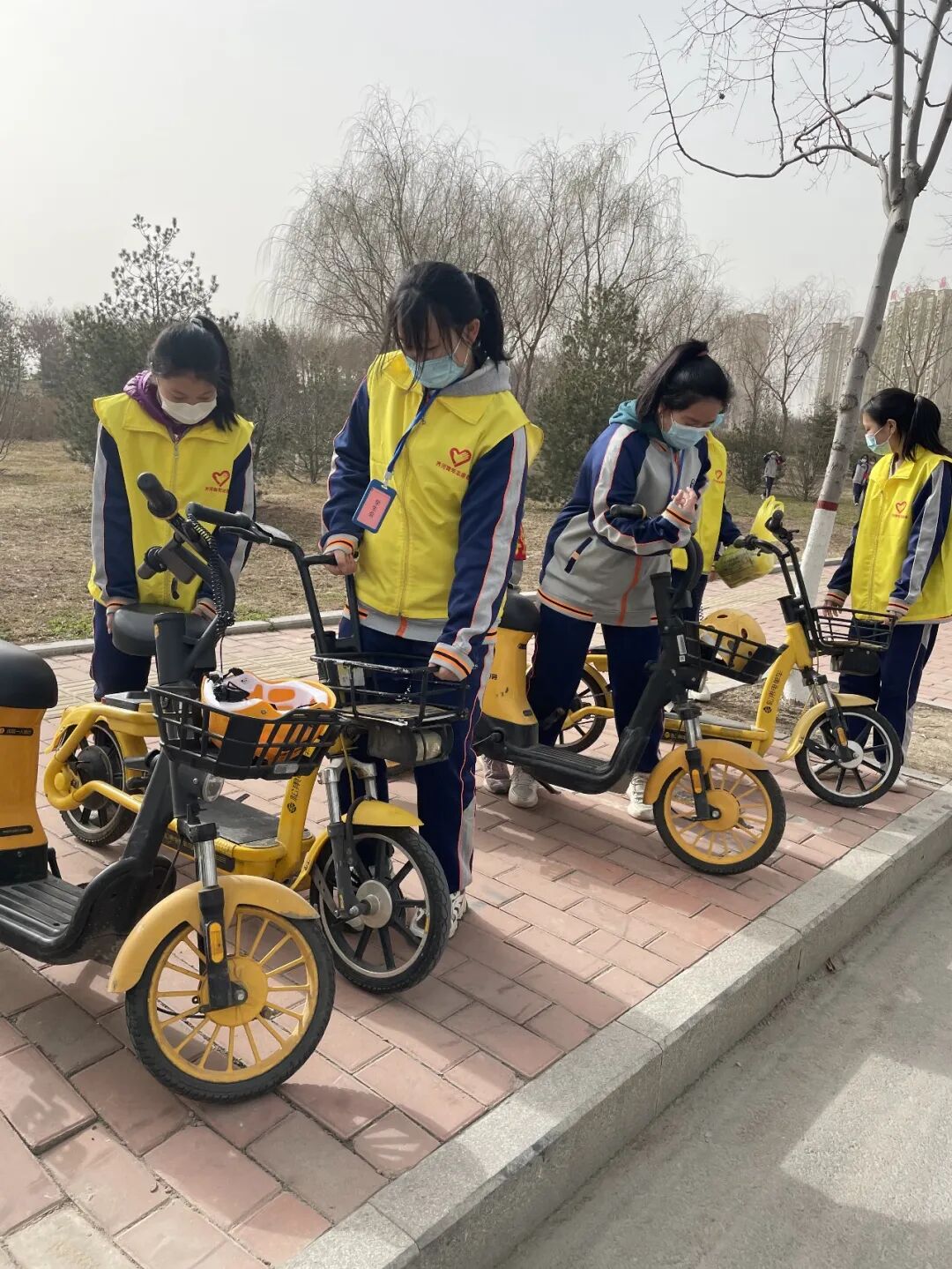 山师东海实验学校上榜山东省首批“绿色学校”