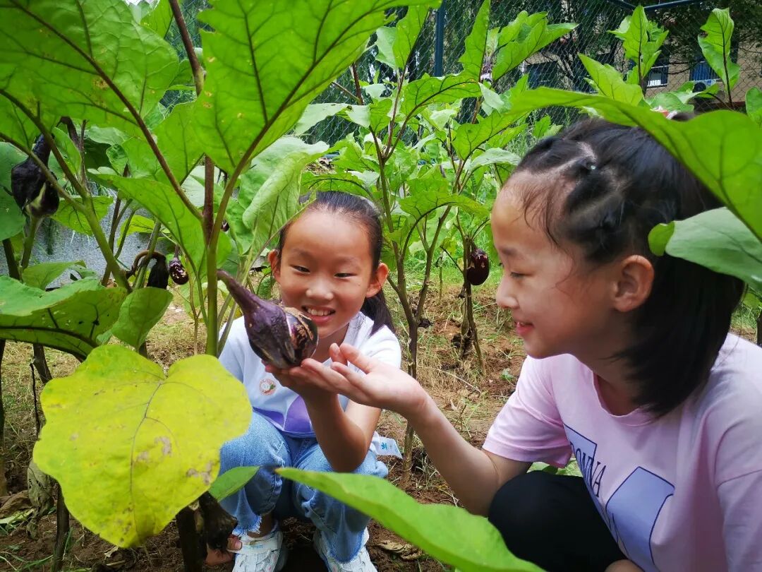 山师东海实验学校上榜山东省首批“绿色学校”