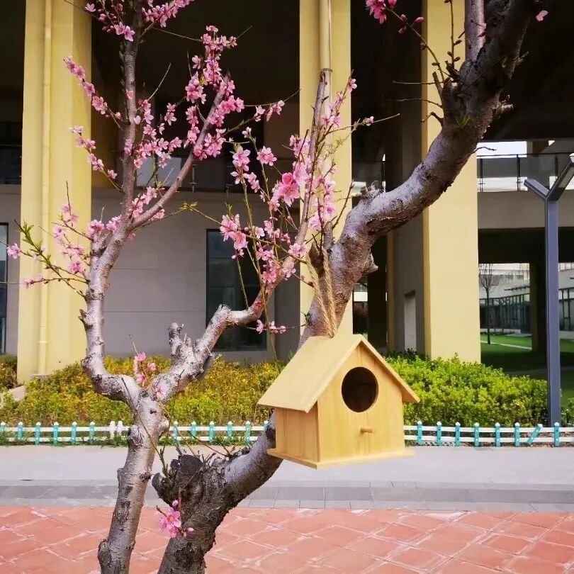 山师东海实验学校上榜山东省首批“绿色学校”