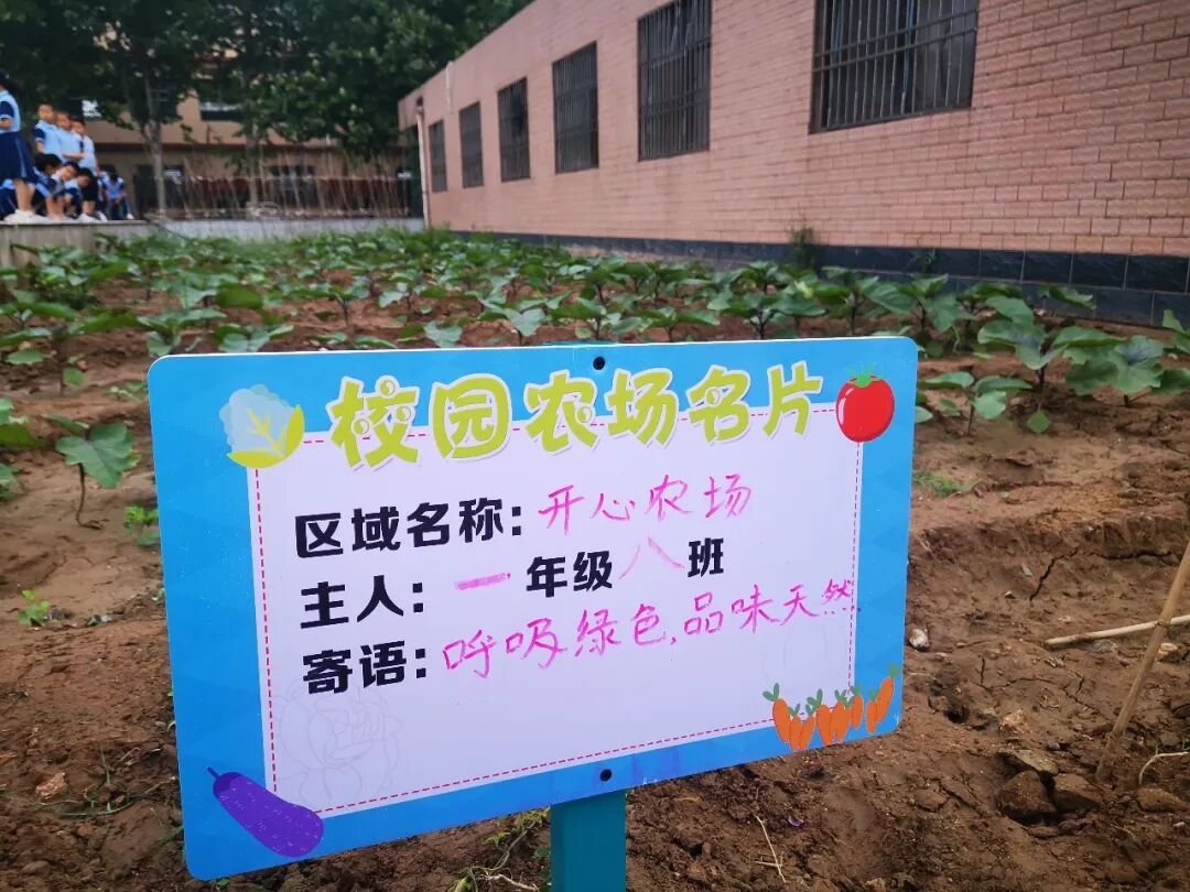 山师东海实验学校上榜山东省首批“绿色学校”