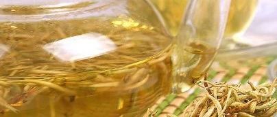 清热解毒降火的一种良药——金银花