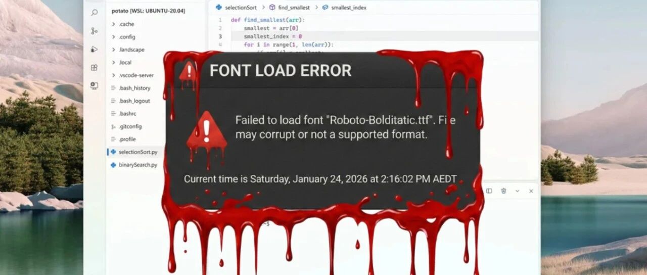 Example Image