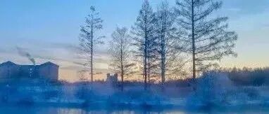 三九进九时间表，太实用了，送给大家！