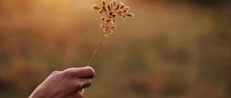 女人的美，与年龄无关