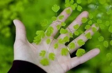 惊人的社会定律 （2020年必读）