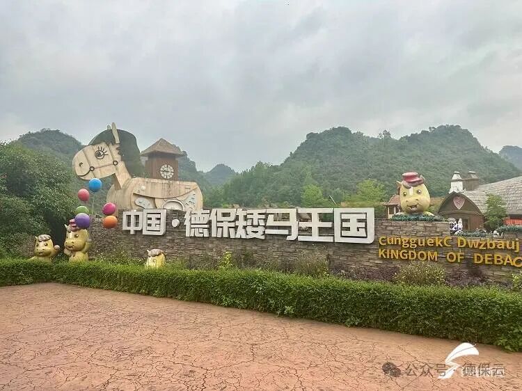 一区——德保矮马王国景区.