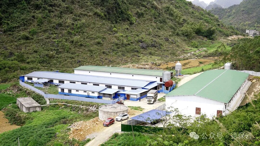 德保阳光助残促农增收
