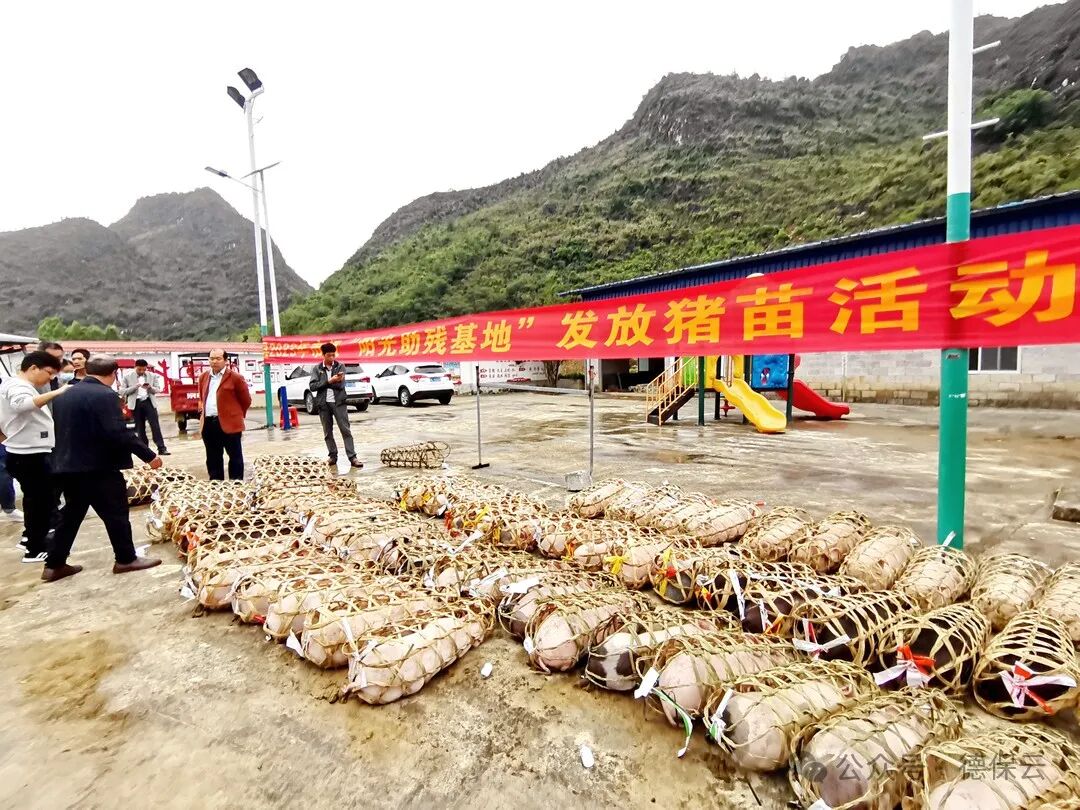 德保阳光助残促农增收