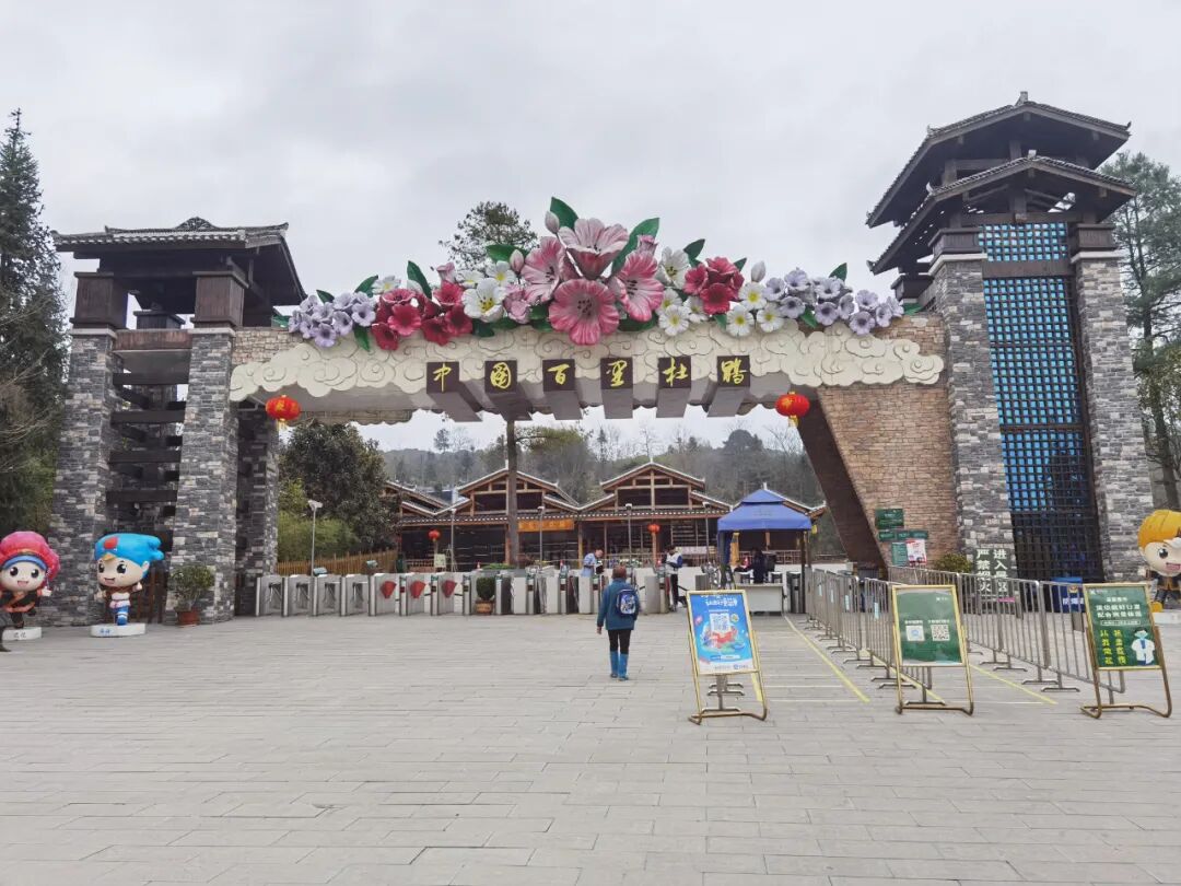 百里杜鹃杜鹃花季来了这份赏花攻略请收好