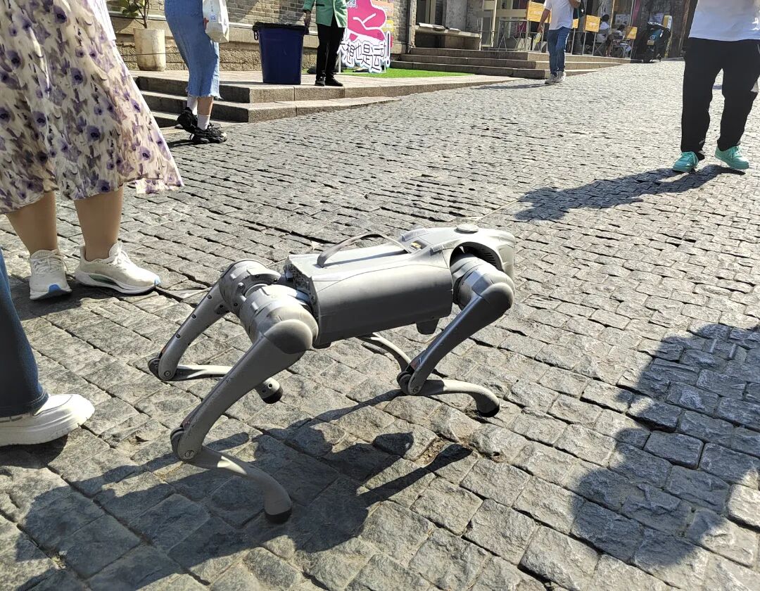 3版，榕城街头的机器狗。(14672672)-20250513150945.jpg