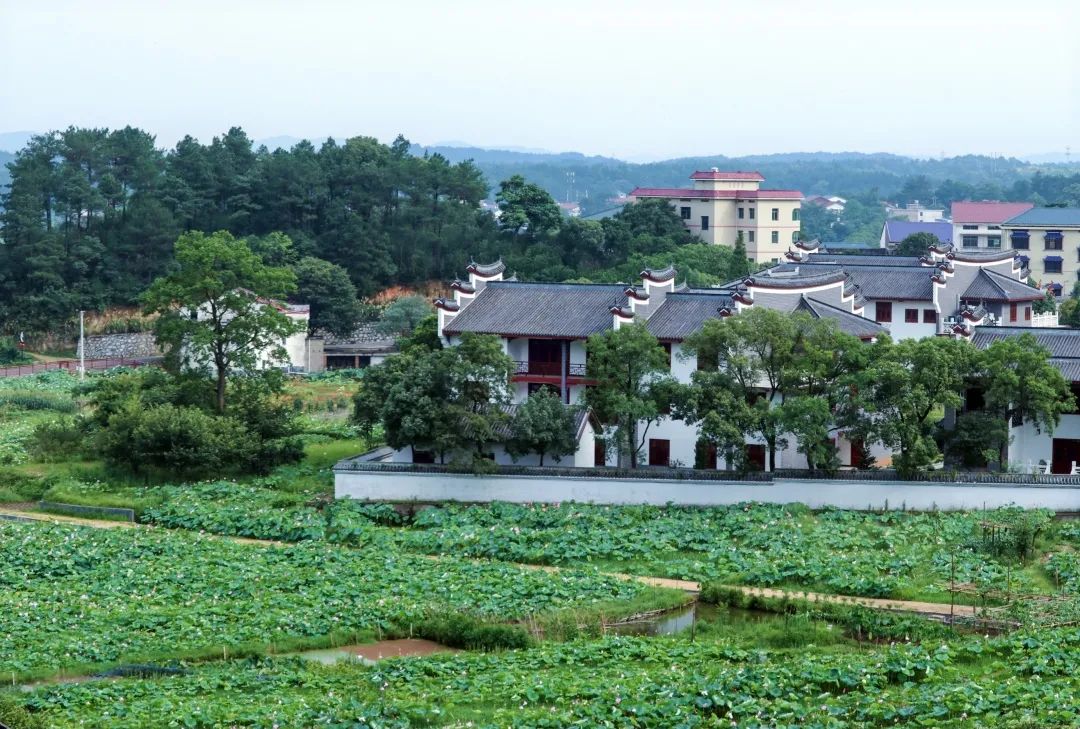 长沙县安沙镇和平村,长沙县开慧镇飘峰山村,长沙县开慧镇开慧村衡阳市