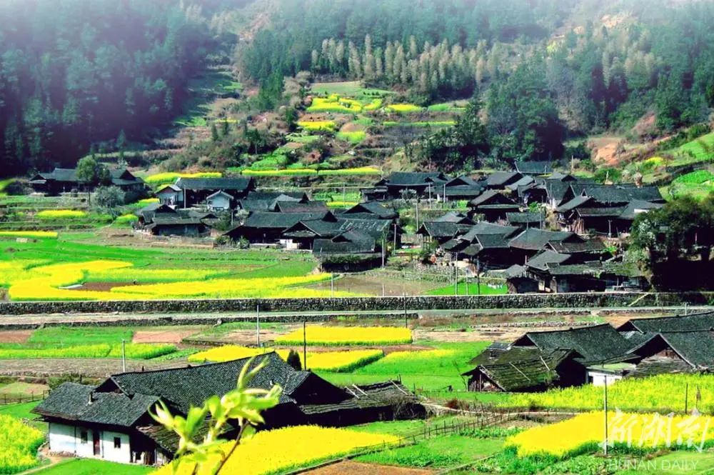 长沙县开慧镇开慧村衡阳市:南岳区南岳镇水濂村,南岳区南岳镇荆田村