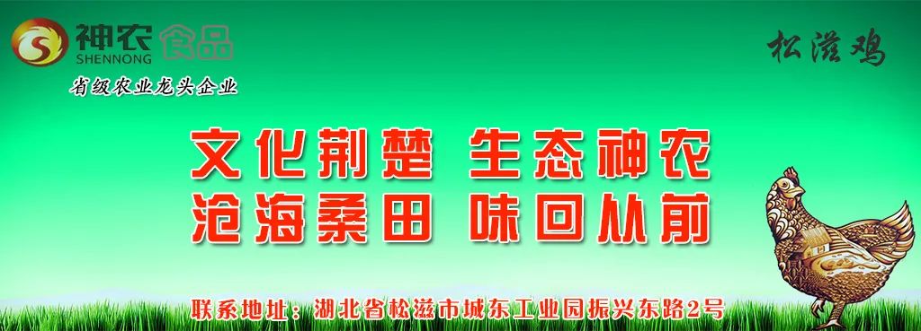 养殖肉羊扶贫项目_云南省养殖扶贫项目_政府扶贫养殖创业项目