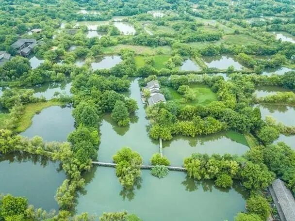 西溪湿地内的一块净土