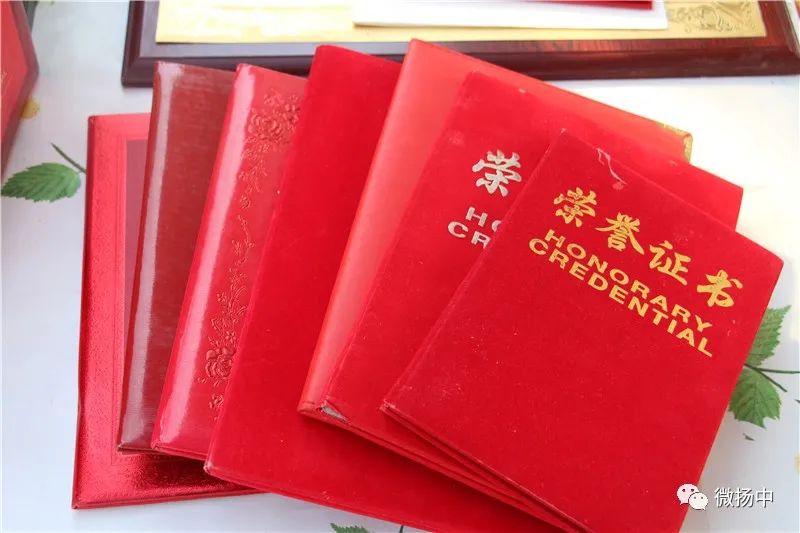 甲鱼养殖致富经_养甲鱼致富视频_致富经养甲鱼