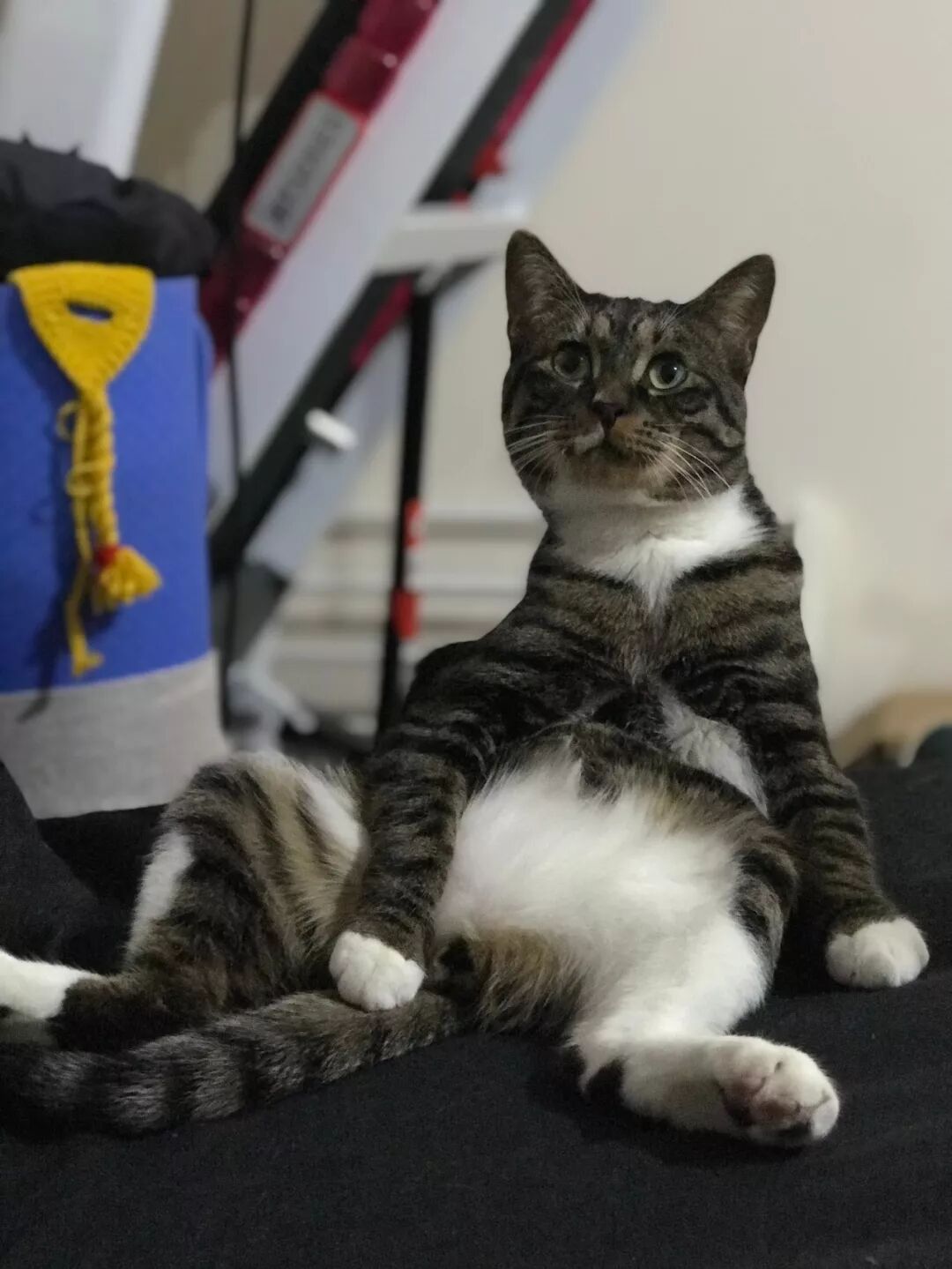 搜历史 自由微信 FreeWeChat