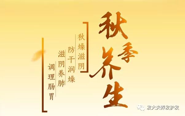 秋季防脱养发小知识！