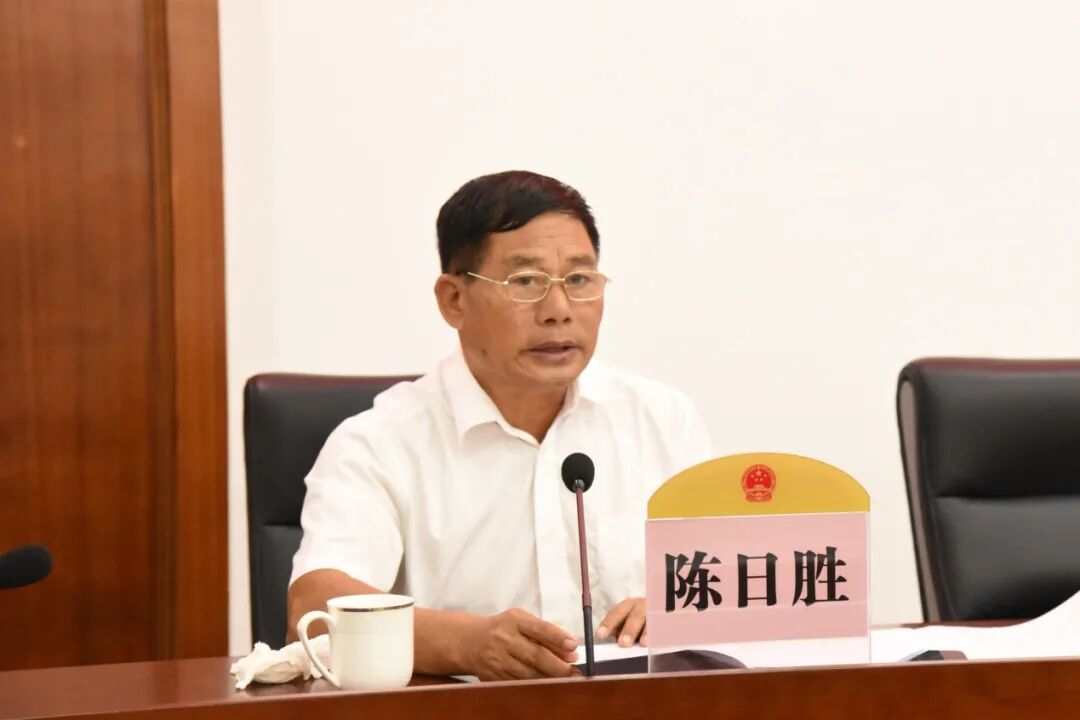 会上,县人大常委会党组成员,副主任陈日胜通报2020年镇级民生实事代表