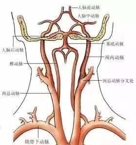 後腦勺的機關——頭痛頭暈治療點 健康 第5張