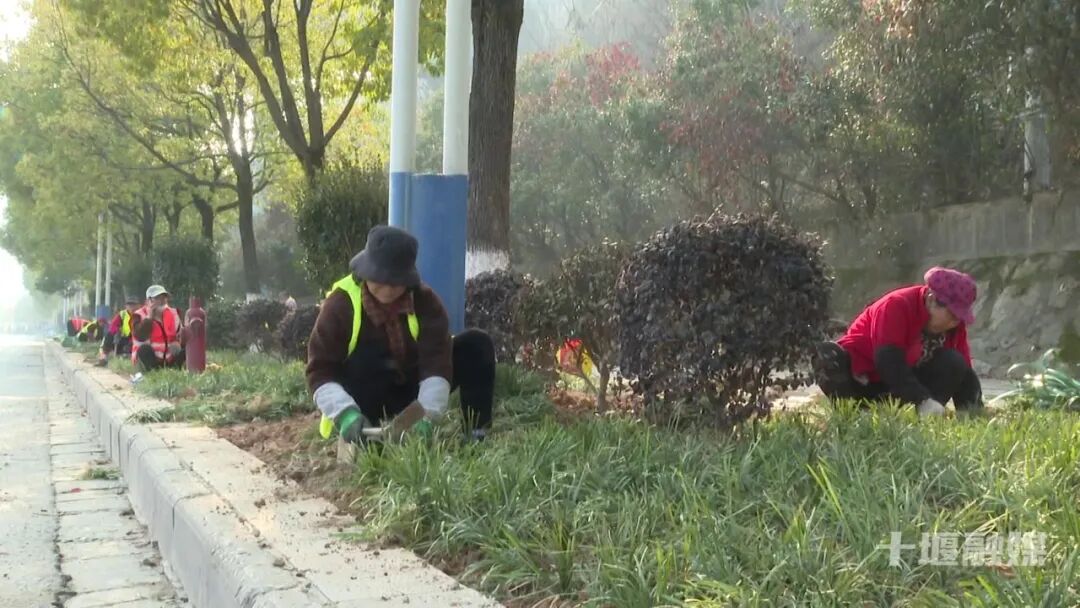16.5公里生态廊道焕新！十堰这条大道颜值提档升级