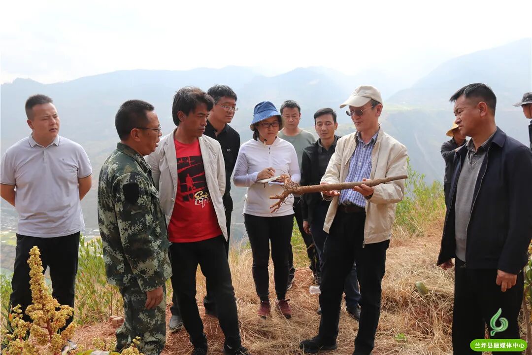 国家乡村振兴科技特派团到兰坪县开展调研对接工作