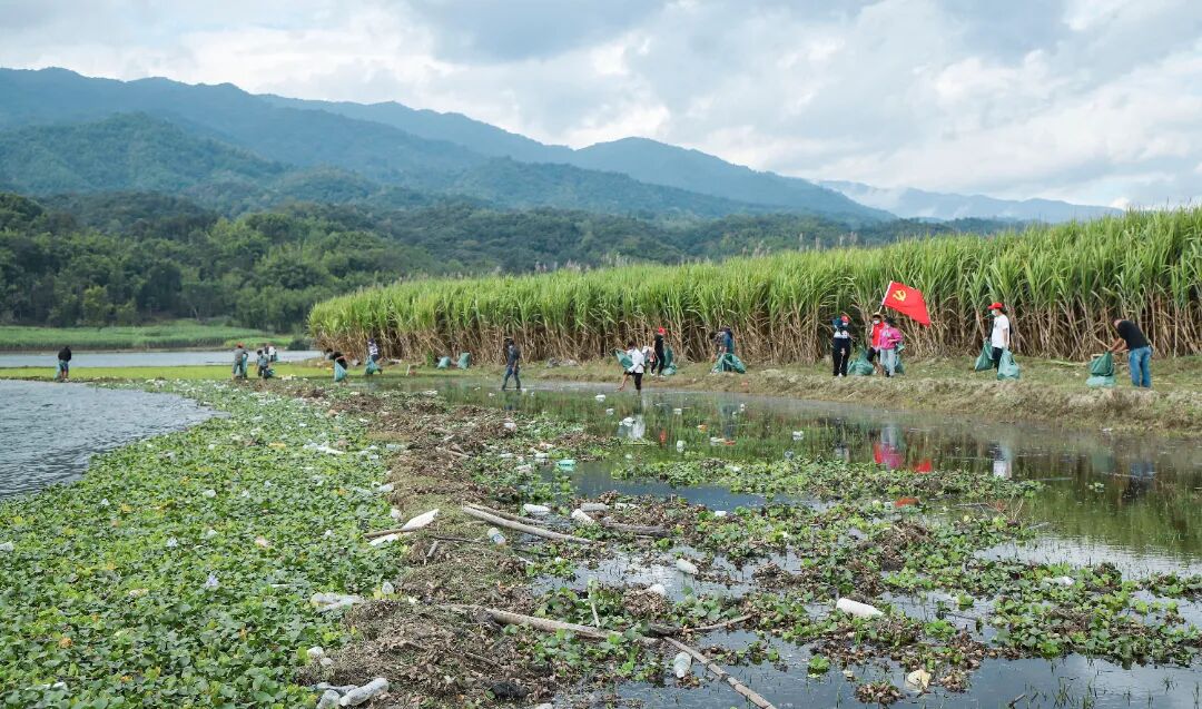 学史力行 |清平乡深入开展"河长清河"行动_陇川县融媒体中心