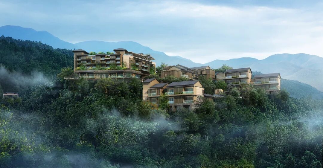 信宜马安竹海即将迎来大动作未来将变成这样