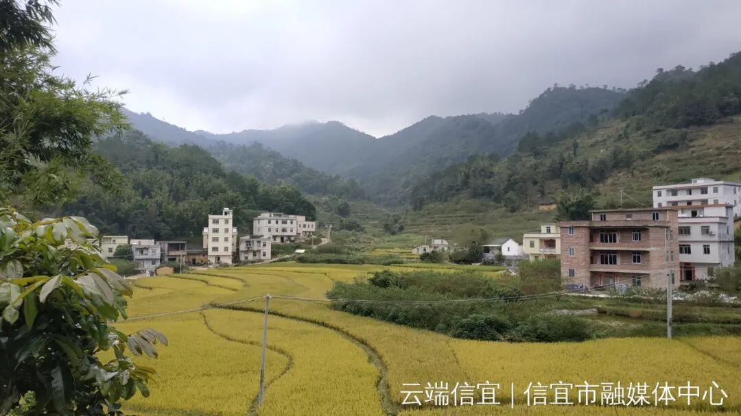 洪冠镇中燕村:抢抓交通建设新机遇 激发旅游发展新动能-信宜市人民