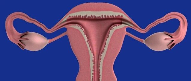 她的自述：切除了子宫，我不再是女人……