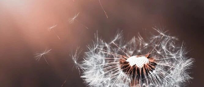 霉菌性阴道炎的发生与哪些因素有关，如何治疗？