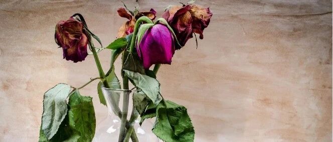 雌激素低的表现，你占几条？