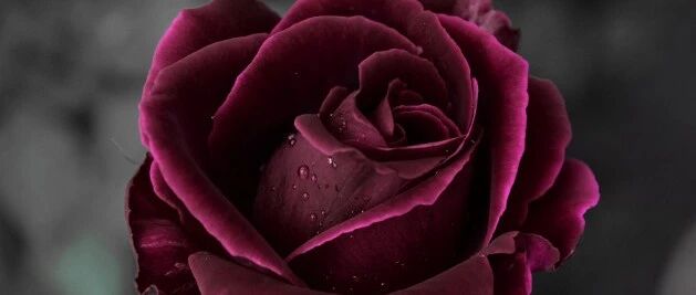 “大姨妈”大家都知道，“小姨妈”指什么你知道吗？