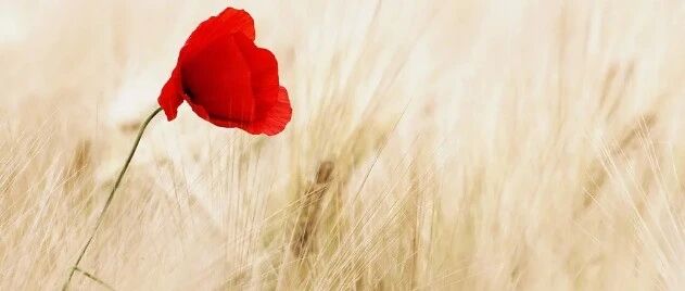 每个月按时来月经，是不是可以说明输卵管是通畅的？