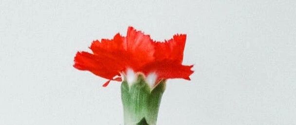 人流包括哪些？对女性身体有什么伤害？