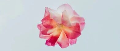 附件炎的4个诱因，女性要警惕！