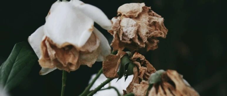 子宫内膜炎不可怕？那是你还不知道它这四个危害