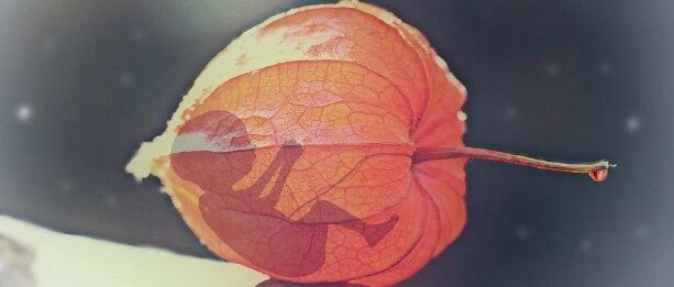 这些因素，可导致流产！