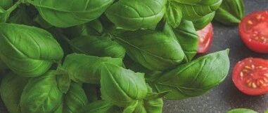 世界保健日：女性如何利用饮食保护子宫、卵巢？