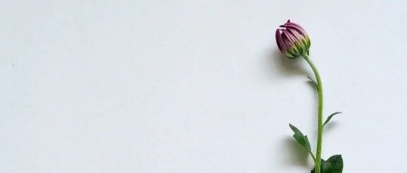 有一个方法让子宫肌瘤不再复发，你会接受吗？