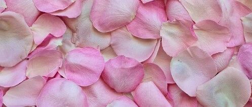 HPV感染如何自己转阴？