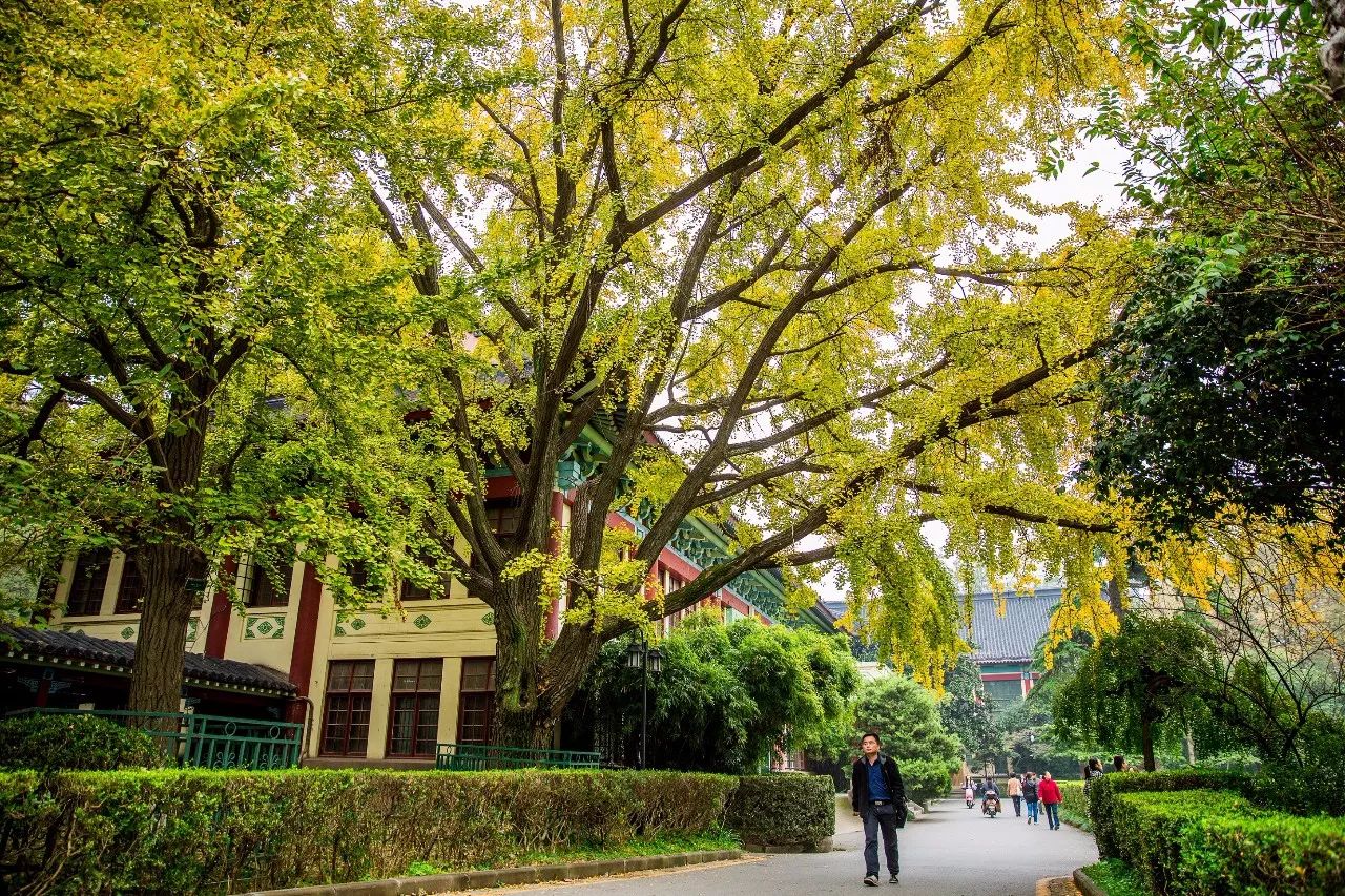 南师大随园校区——东方最美校园之一，飞檐峭壁的古典建筑，温润优雅的