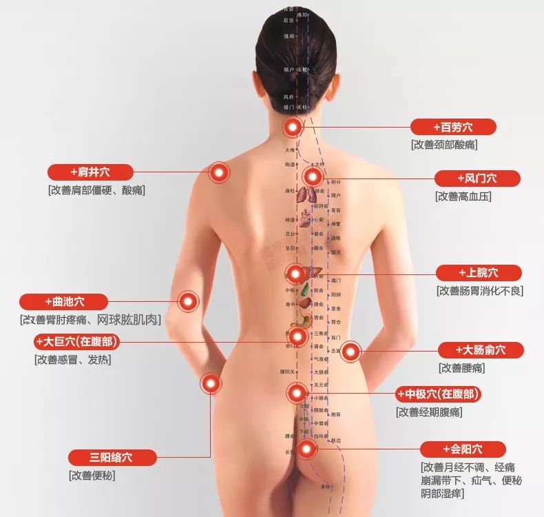 全身经络您调了哪条 颐爱健康 微信公众号文章阅读 Wemp