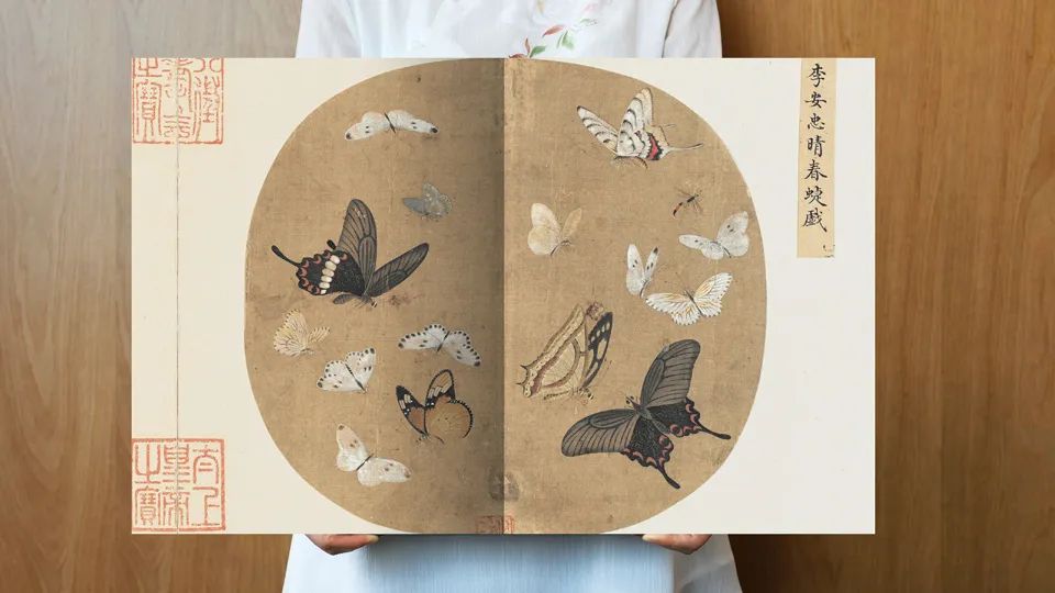 國畫畫冊印刷_國畫畫蝦教學(xué)視頻_國畫畫狗視頻教程