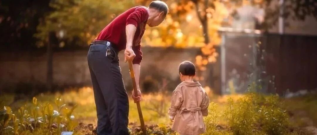 经典微故事：第二次退休（感人至深）