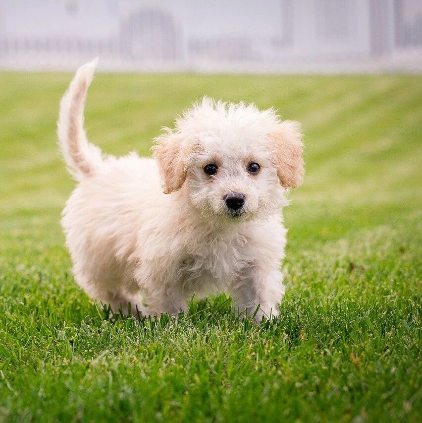 幽默段子：正确答案